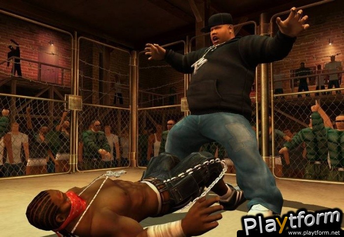 Def Jam: Fight for NY (PlayStation 2)