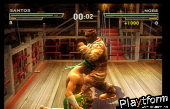 Def Jam: Fight for NY (PlayStation 2)