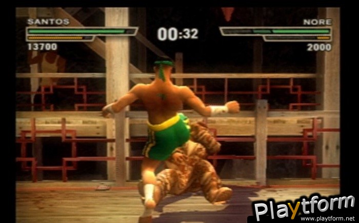 Def Jam: Fight for NY (PlayStation 2)