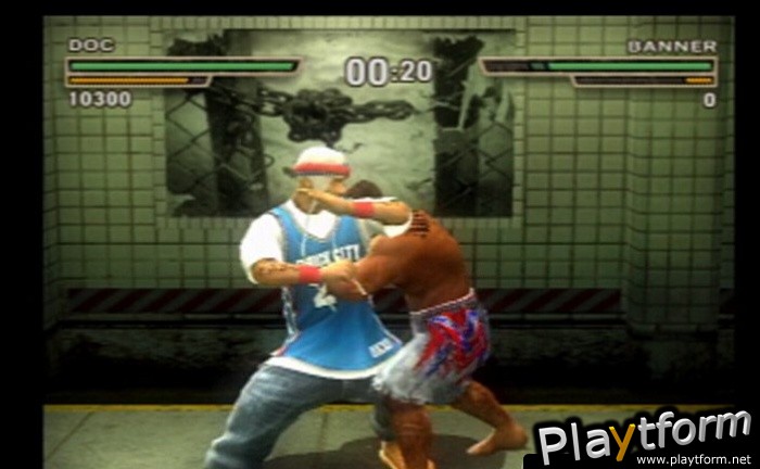 Def Jam: Fight for NY (PlayStation 2)