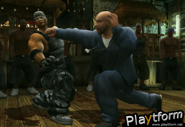 Def Jam: Fight for NY (PlayStation 2)