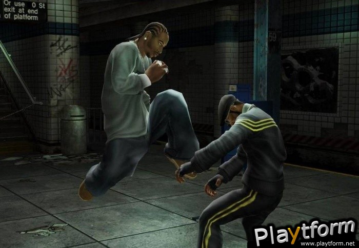 Def Jam: Fight for NY (PlayStation 2)