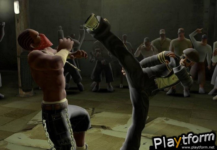 Def Jam: Fight for NY (PlayStation 2)