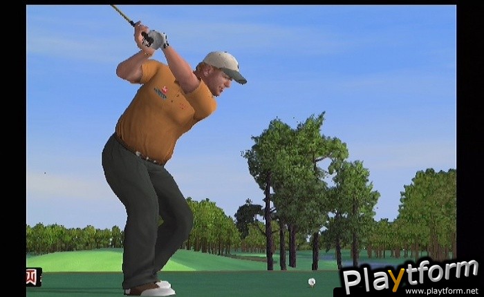 Tiger Woods PGA Tour 2005 (PlayStation 2)