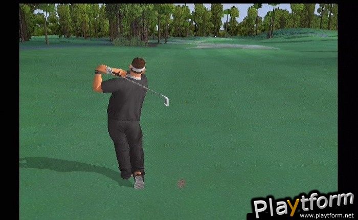 Tiger Woods PGA Tour 2005 (PlayStation 2)