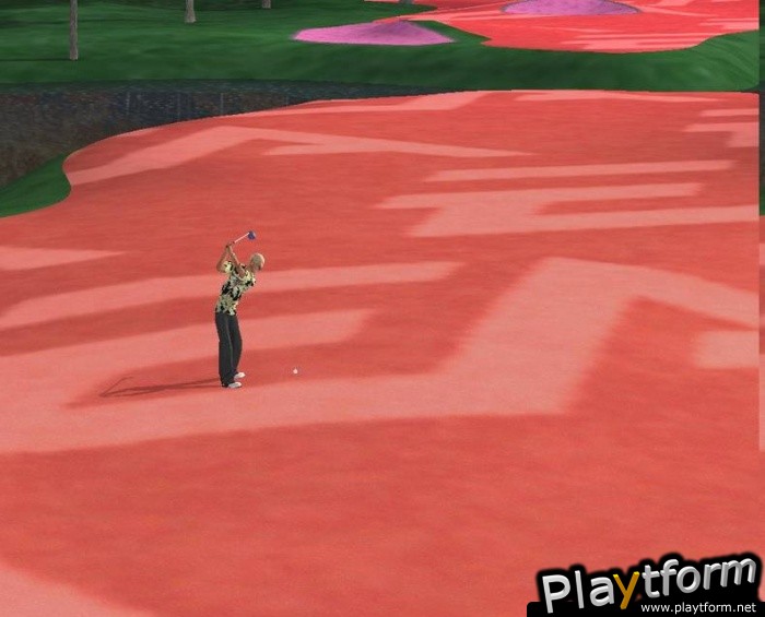 Tiger Woods PGA Tour 2005 (PlayStation 2)