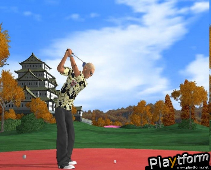 Tiger Woods PGA Tour 2005 (PlayStation 2)