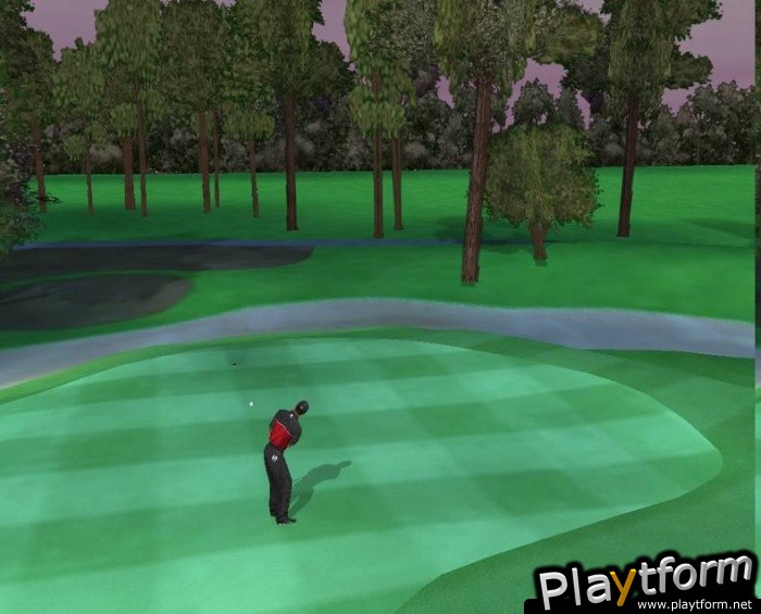 Tiger Woods PGA Tour 2005 (PlayStation 2)