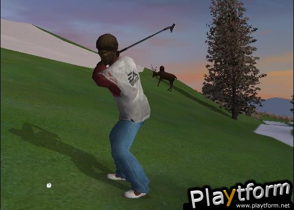 Tiger Woods PGA Tour 2005 (PlayStation 2)