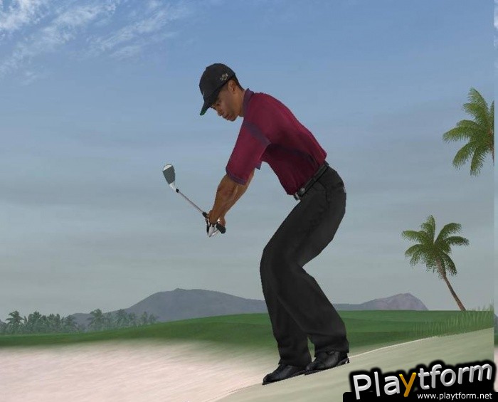 Tiger Woods PGA Tour 2005 (PlayStation 2)