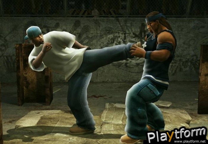 Def Jam: Fight for NY (GameCube)