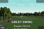 Tiger Woods PGA Tour (DS)