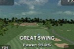 Tiger Woods PGA Tour (DS)