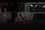 Legacy: Dark Shadows (PC)
