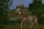 Cabela's Big Game Hunter 2005 Adventures (Xbox)