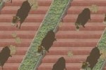 Feel the Magic: XY/XX (DS)