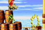 Donkey Kong Country 2