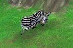 Zoo Tycoon 2 (PC)