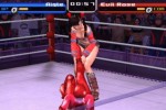 Rumble Roses (PlayStation 2)