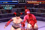 Rumble Roses (PlayStation 2)