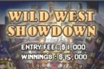 World Championship Poker (Game Boy Advance)