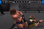 WWE SmackDown! vs. Raw (PlayStation 2)