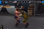 WWE SmackDown! vs. Raw (PlayStation 2)