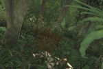 Men of Valor (PC)