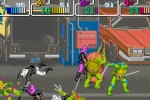 Teenage Mutant Ninja Turtles 2: Battle Nexus (PC)