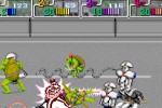 Teenage Mutant Ninja Turtles 2: Battle Nexus (PC)