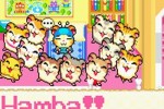 Hamtaro: Rainbow Rescue (Game Boy Advance)