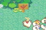 Hamtaro: Rainbow Rescue (Game Boy Advance)