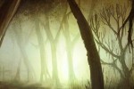 Shade: Wrath of Angels (Xbox)