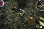 The Bard's Tale (Xbox)