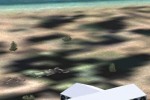 FS Flight Ventures (PC)
