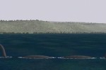 FS Flight Ventures (PC)