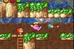 Kirby & the Amazing Mirror (Game Boy Advance)