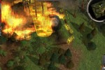 Wildfire (PC)