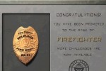 Wildfire (PC)