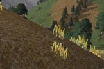 Wildfire (PC)
