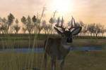 Deer Hunter 2005 (PC)