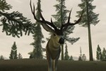 Deer Hunter 2005 (PC)