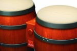 Donkey Konga (GameCube)