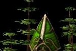 Kohan II: Kings of War (PC)