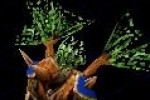 Kohan II: Kings of War (PC)