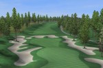 Tiger Woods PGA Tour 2005 (PC)