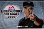 Tiger Woods PGA Tour 2005 (PlayStation 2)