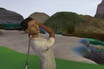 Tiger Woods PGA Tour 2005 (PlayStation 2)