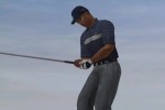 Tiger Woods PGA Tour 2005 (GameCube)