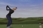 Tiger Woods PGA Tour 2005 (GameCube)